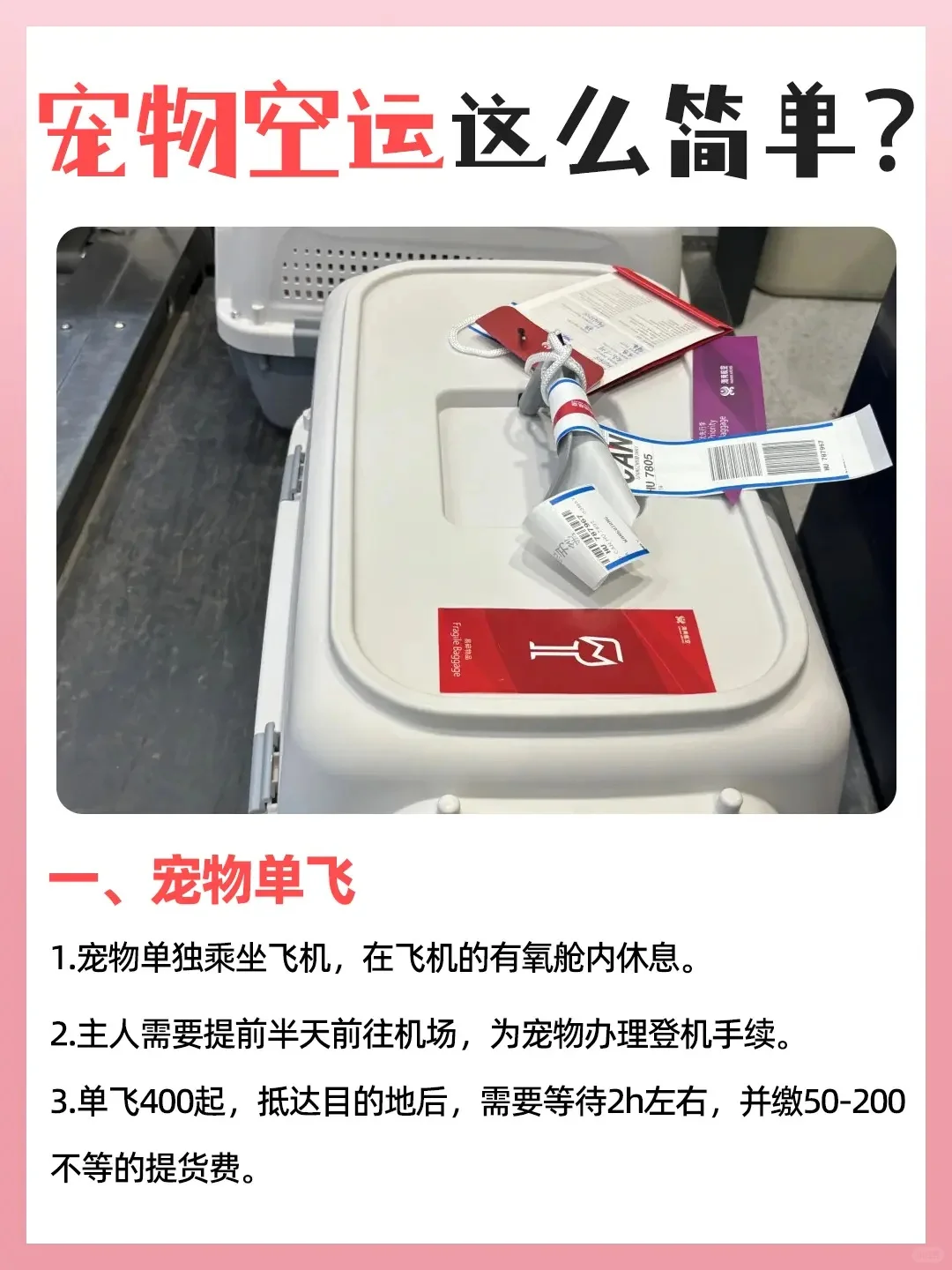 求求了?巨靠谱宠物空运攻略‼️