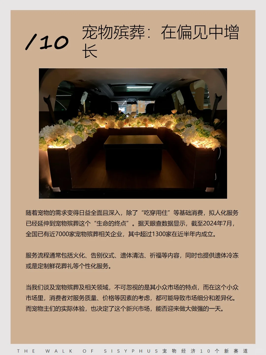 商业洞察｜宠物经济10 个新赛道