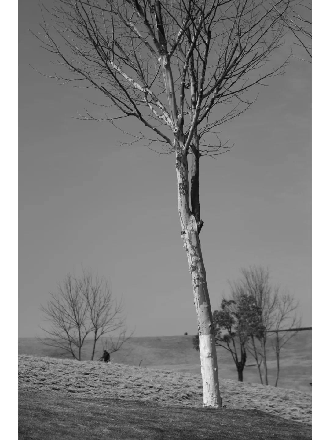 柯达EKTAR 100 3.5二代旁轴镜头,稀土玻璃