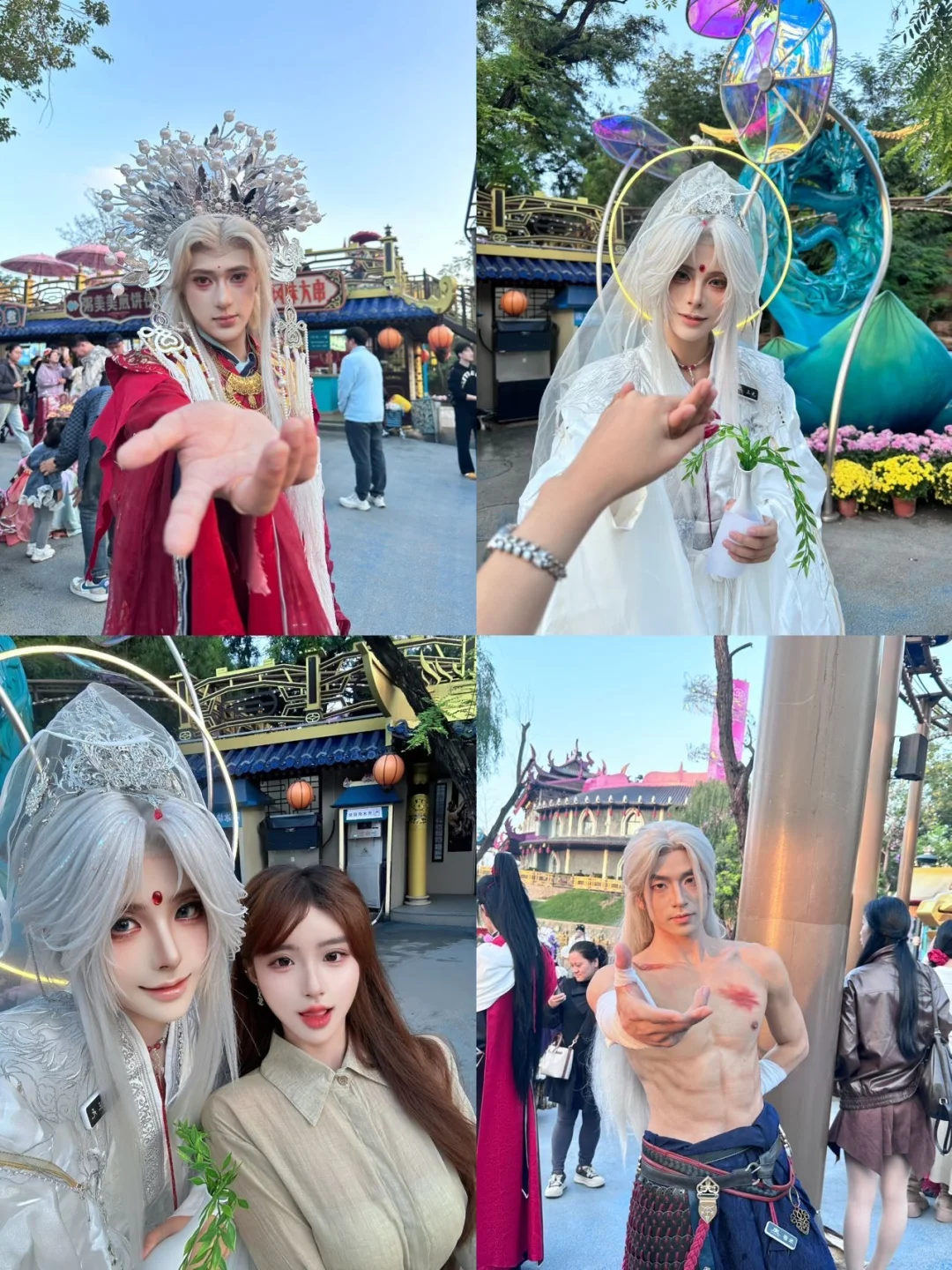 开封菊展｜白天黑夜拍照都封神?