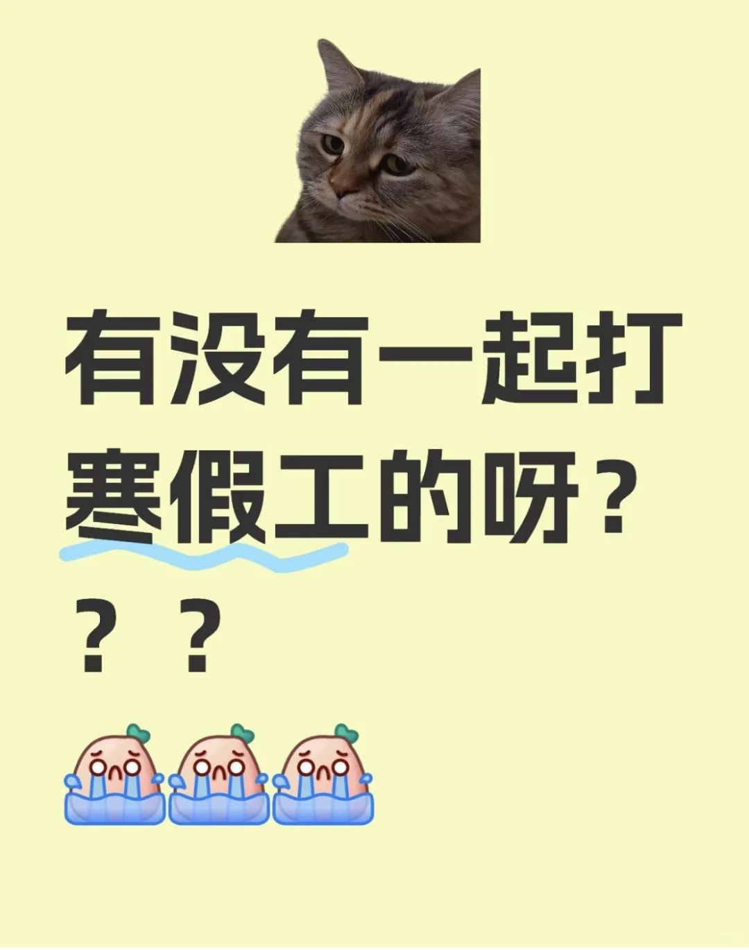 有没有一起打寒假工的呀