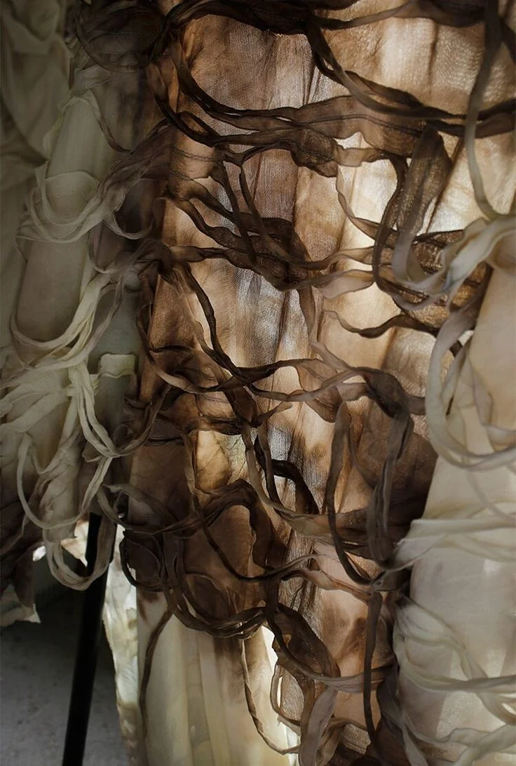 美学分享‖Timelapse