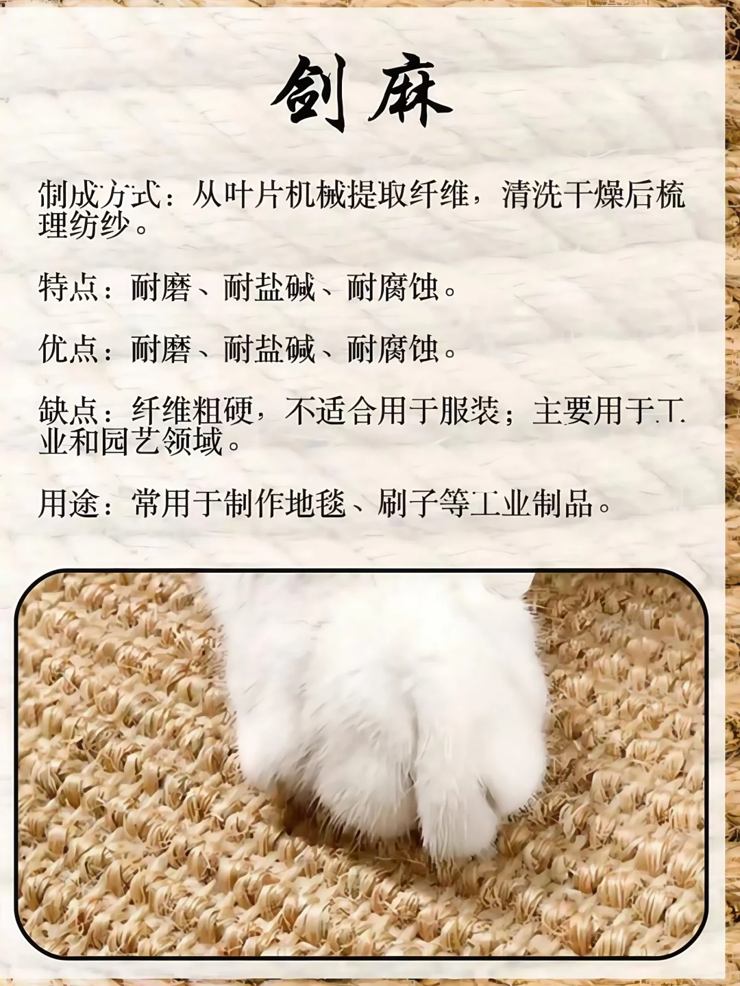 面辅工艺库||【麻】