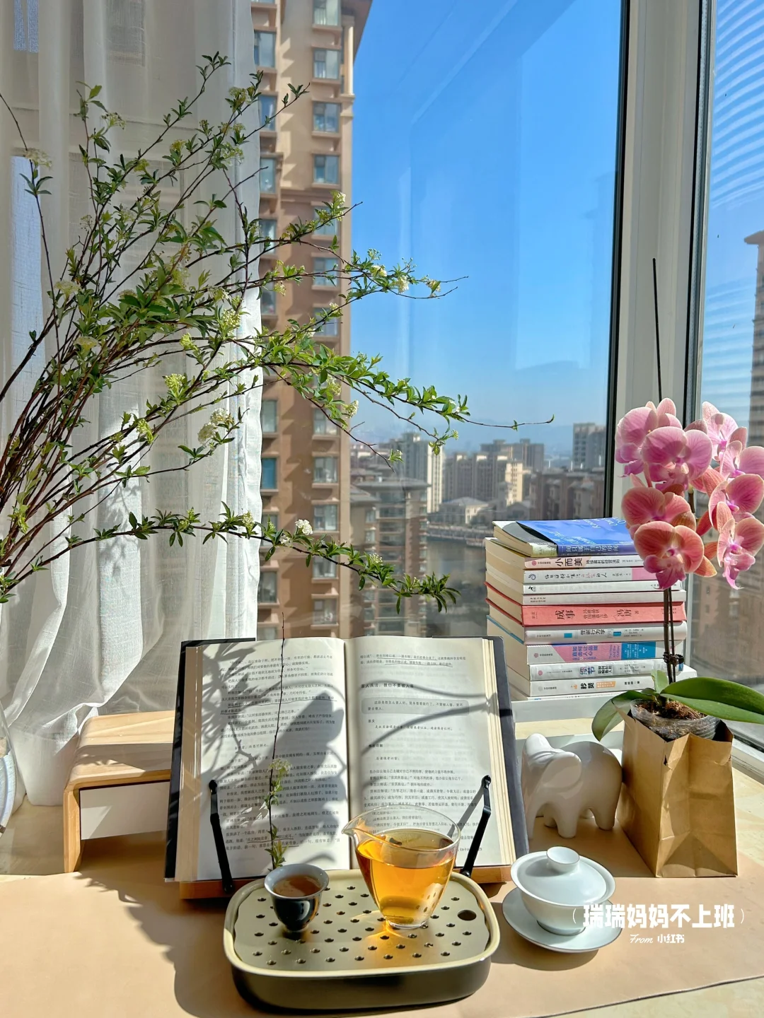 36岁,家是我的能量场,独处是灵魂的充电站✨