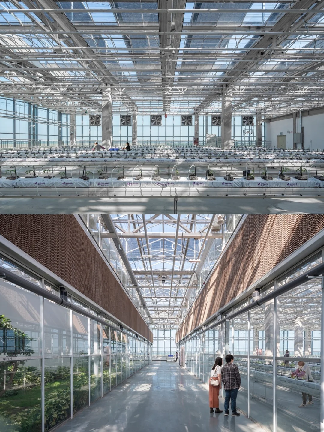 折叠玻璃立面?都市农业的未来长这样