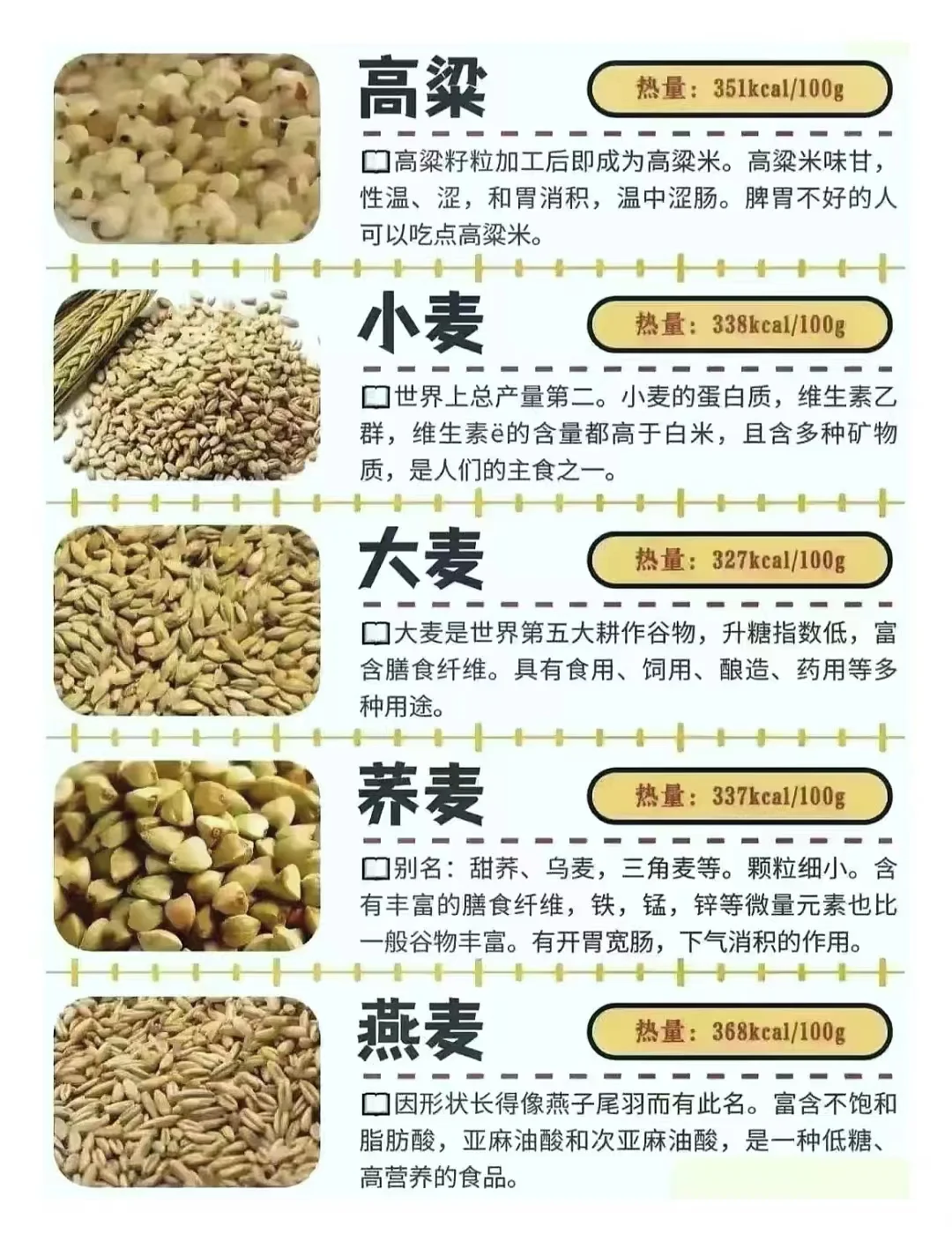燕麦、大麦、小麦,傻傻分不清吗