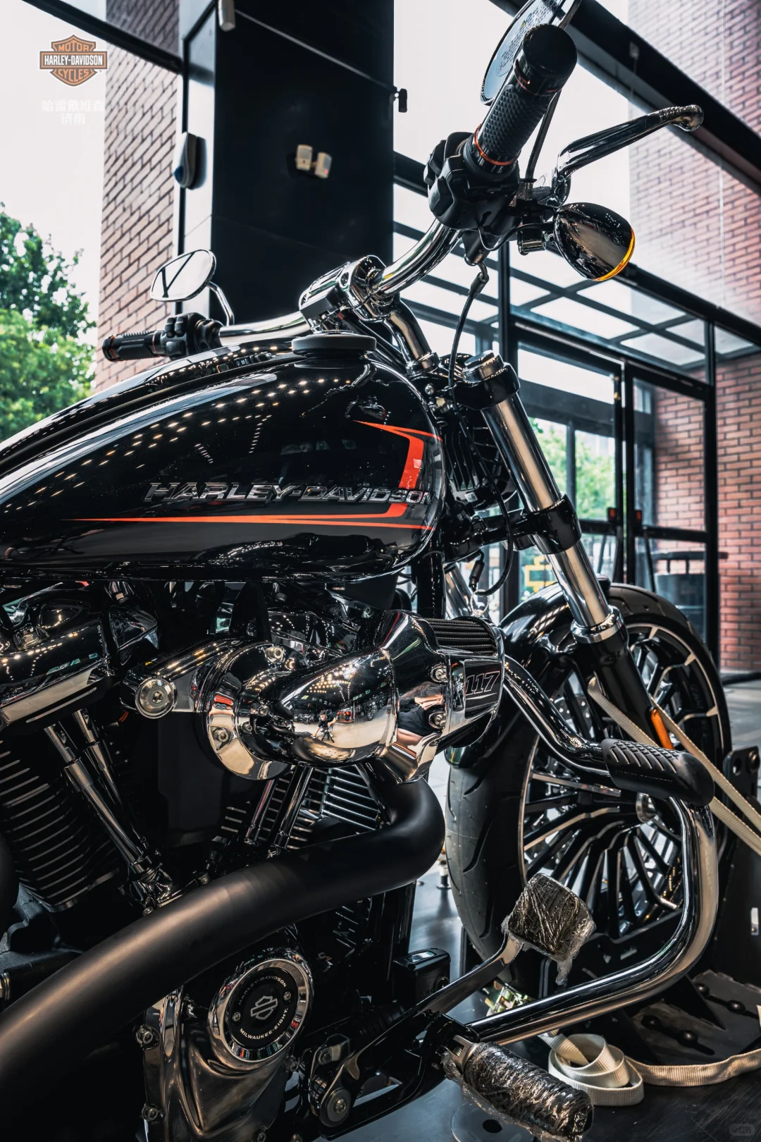 骑上哈雷突破者,世界都是你的?️