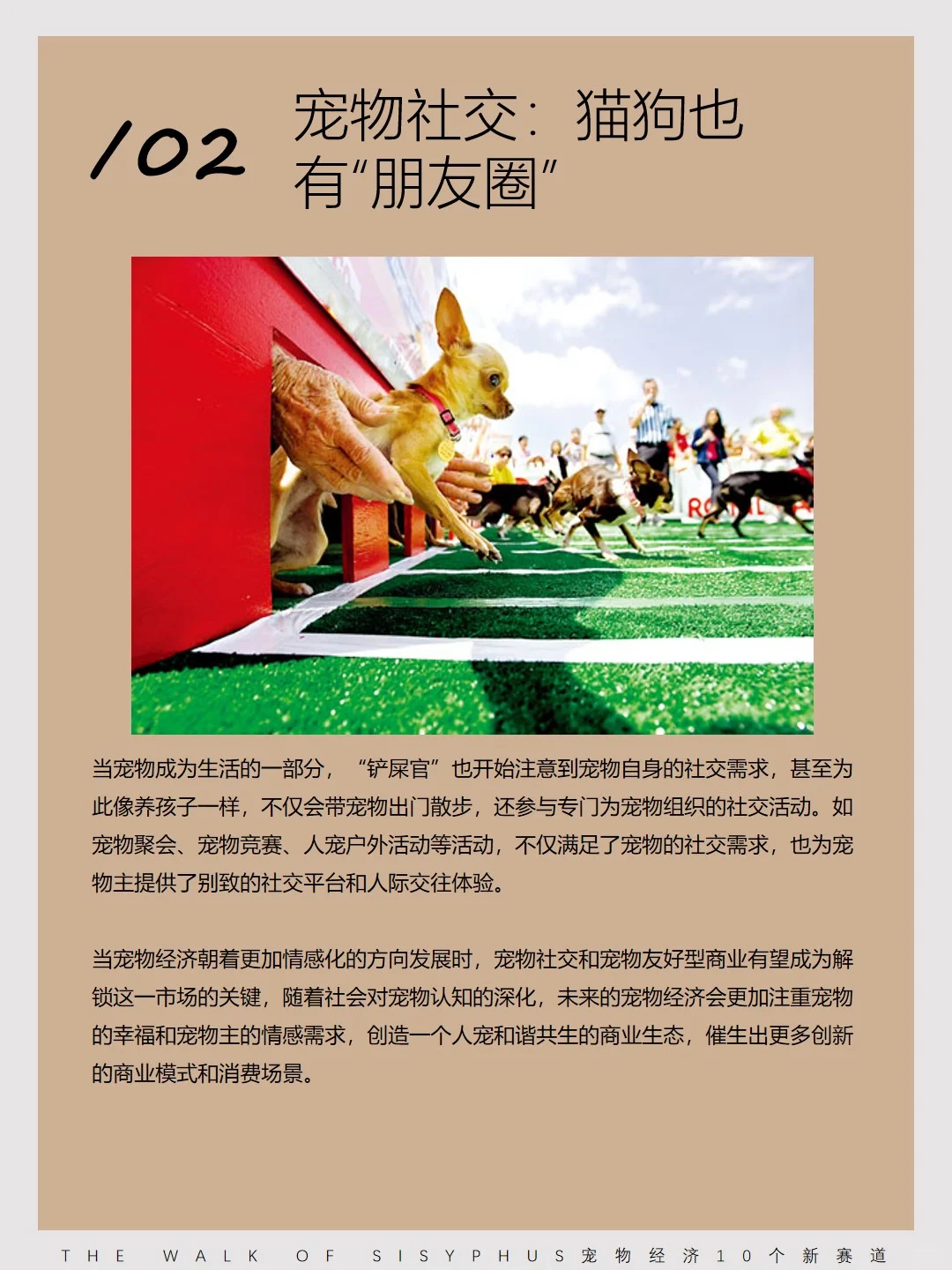 商业洞察｜宠物经济10 个新赛道