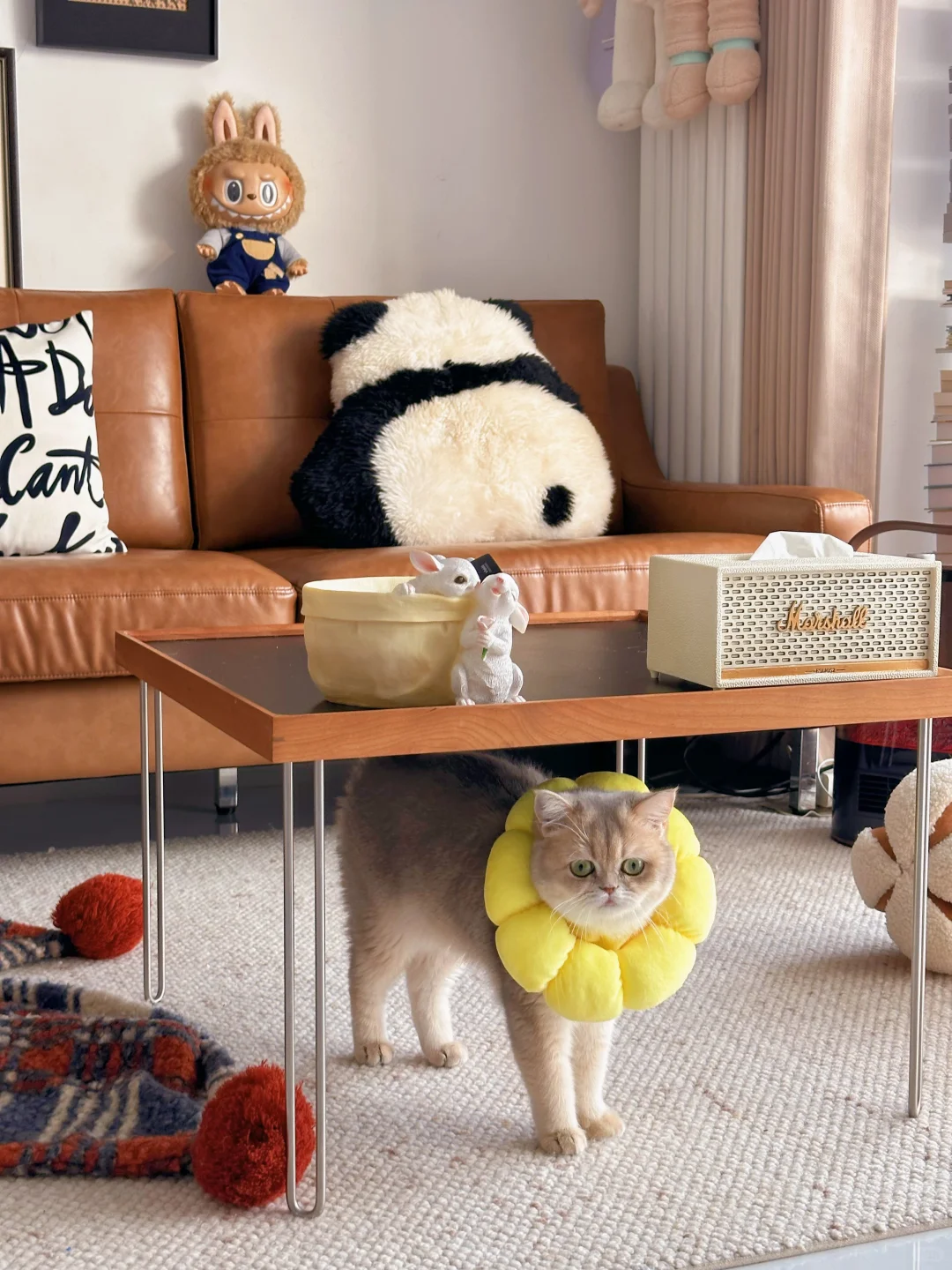 就46㎡的小房子，谈什么高级感简单够住就行！