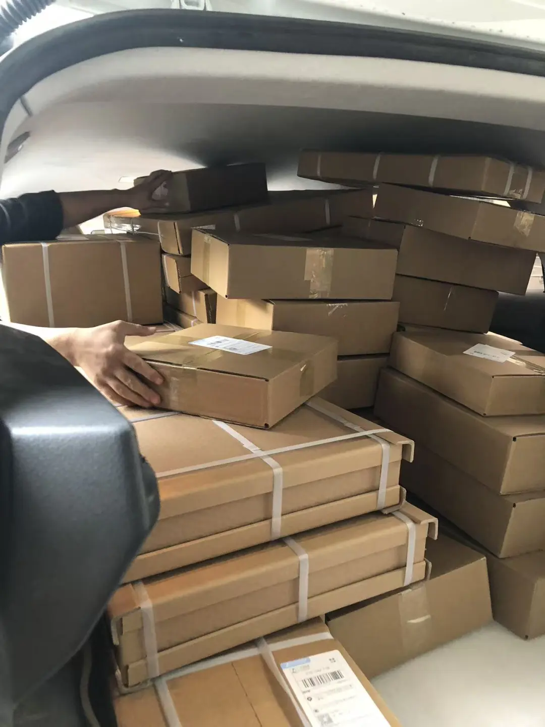 现在宠物经济了不得啊