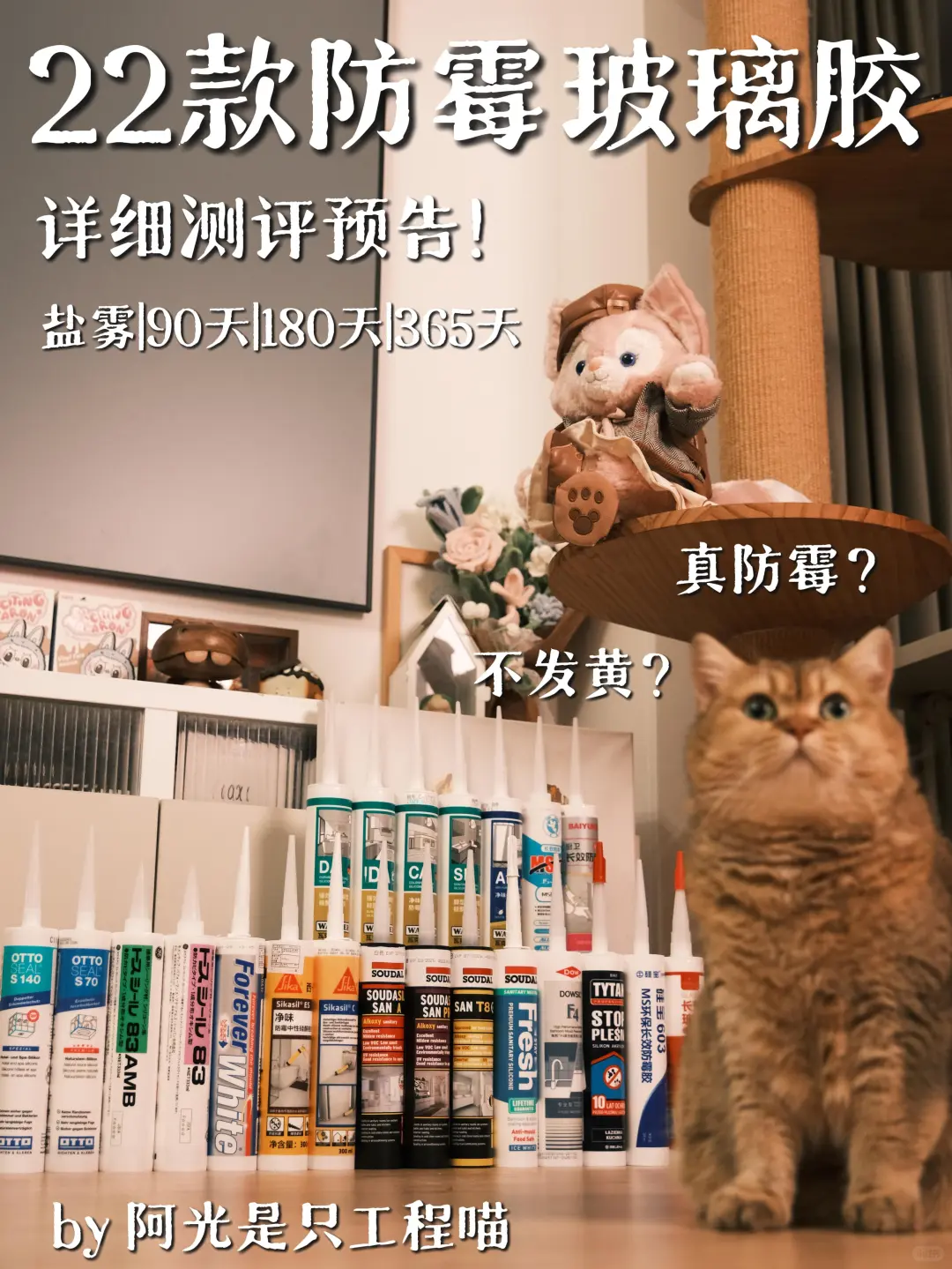 真的不发霉不发黄？22款玻璃胶测评预告！