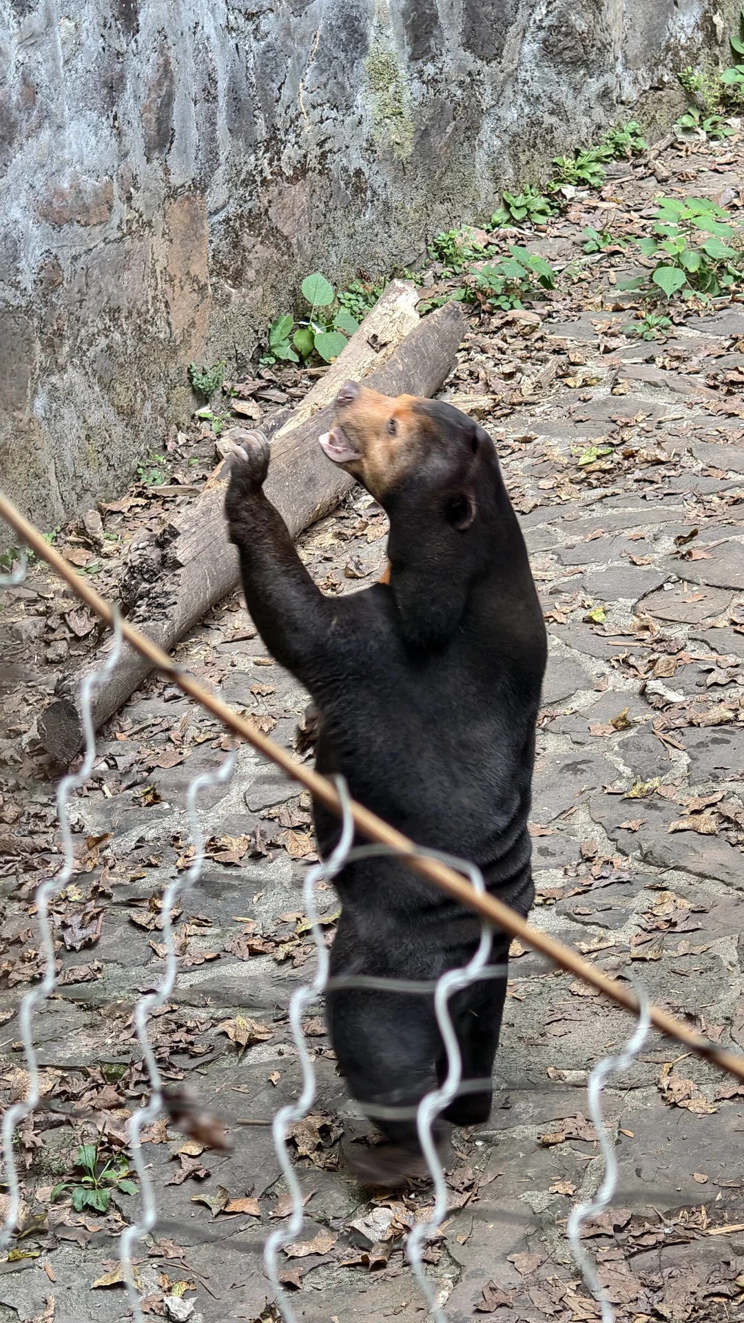 特种兵之杭州动物园