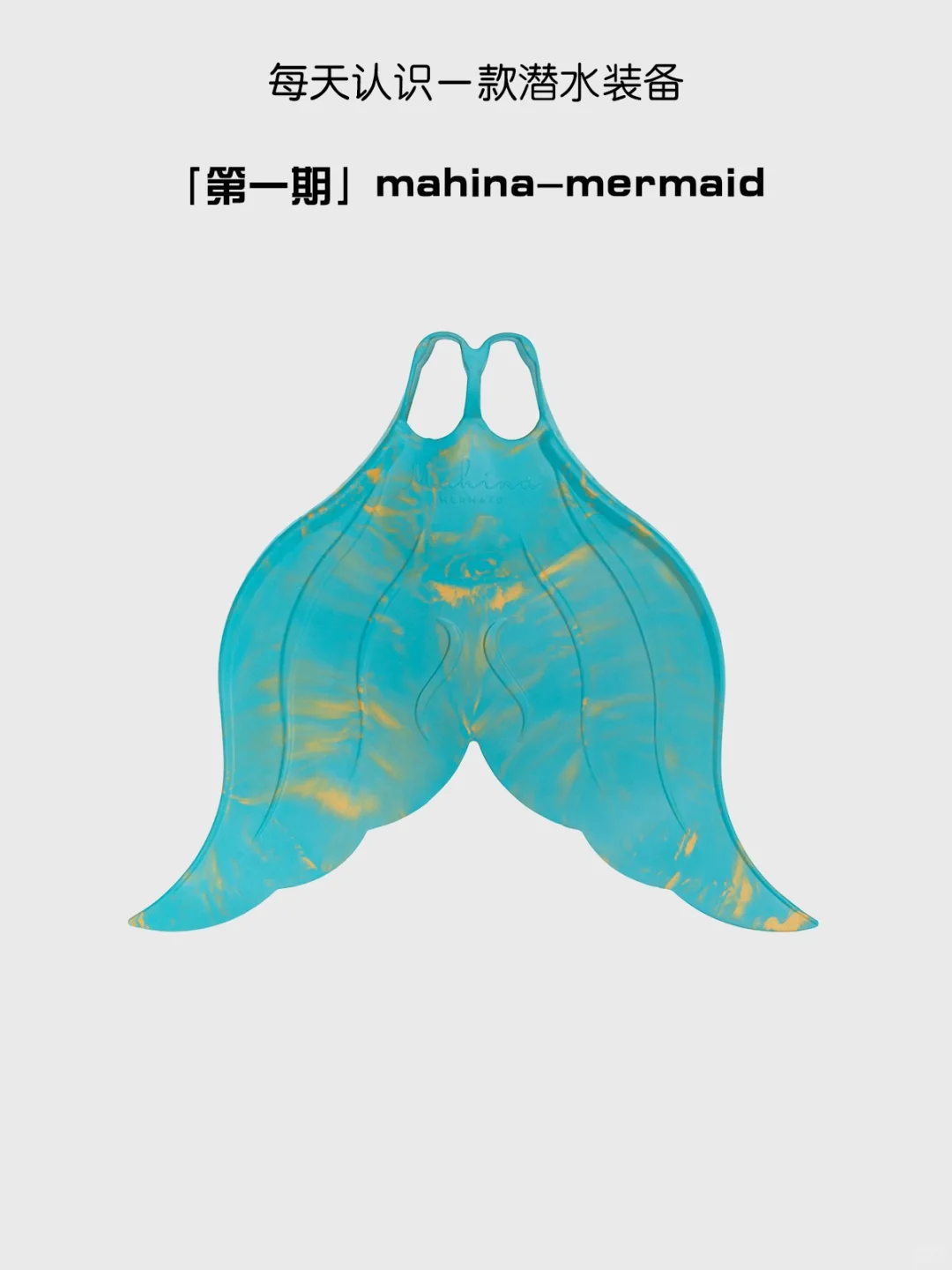 小美人鱼的秘密装备 ?‍♀️