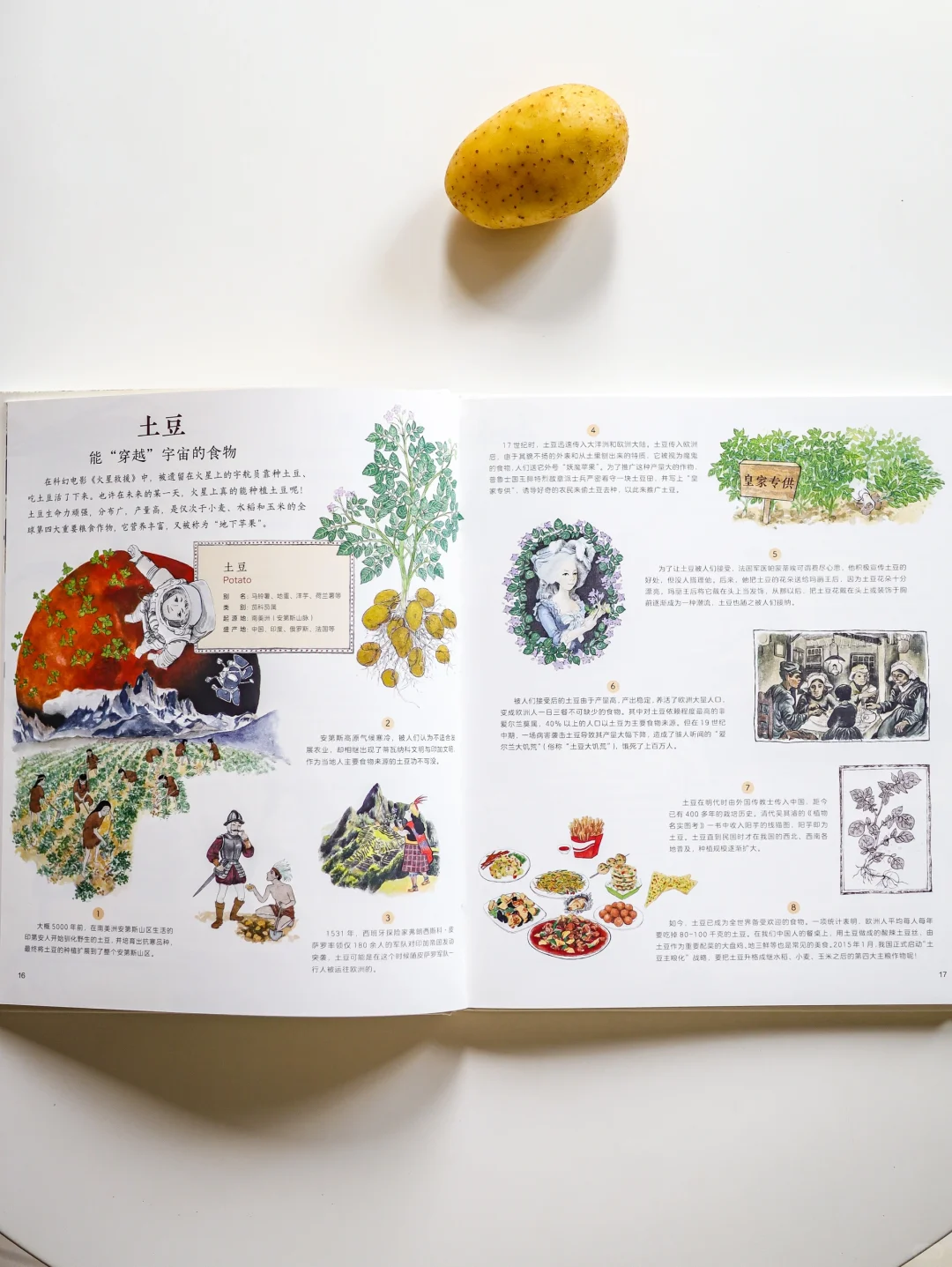 翻开《作物起源》解锁60种作物的环球旅行记!