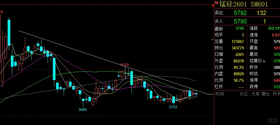 再看看两个品种