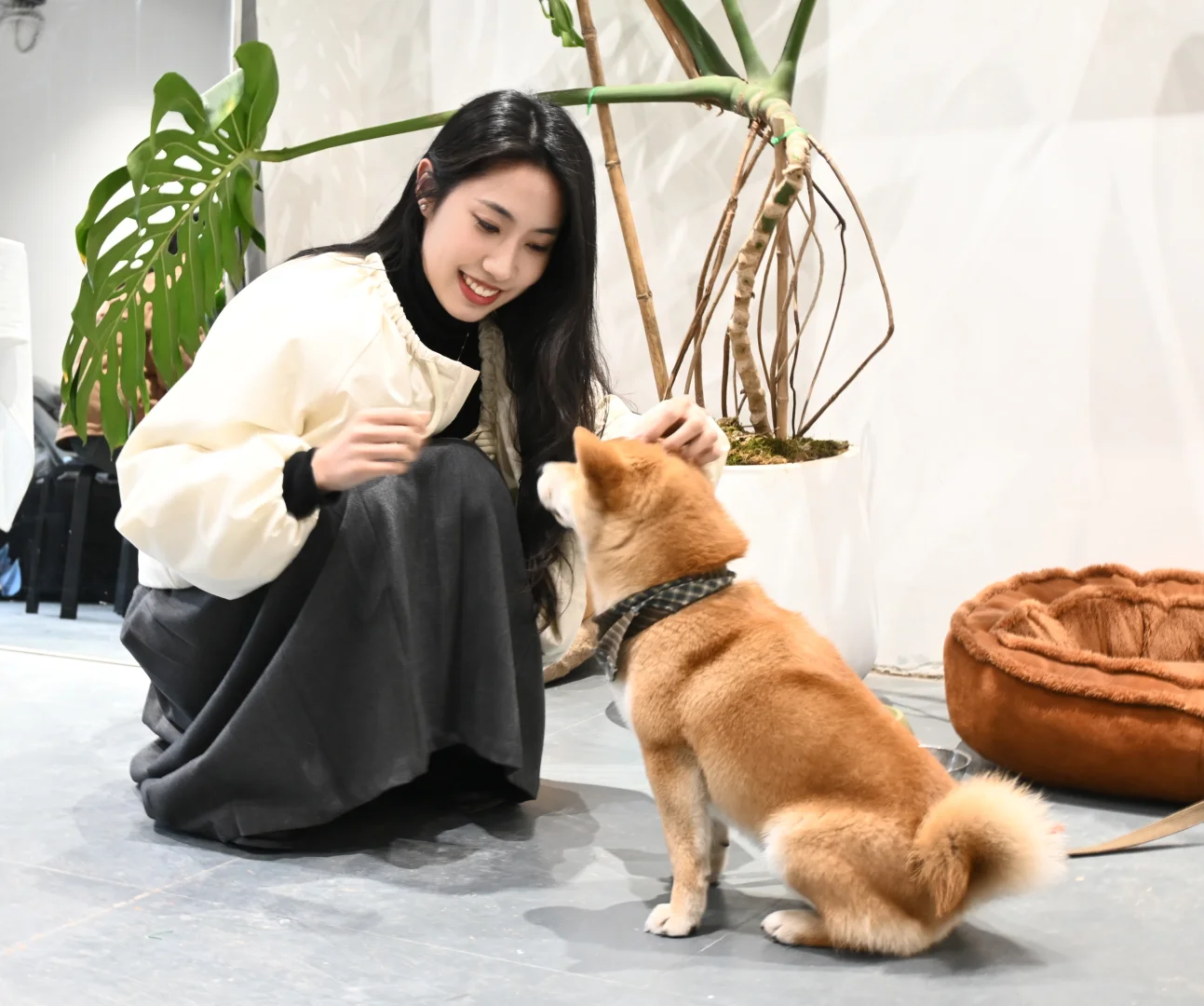 景德镇｜顶呱呱手艺人