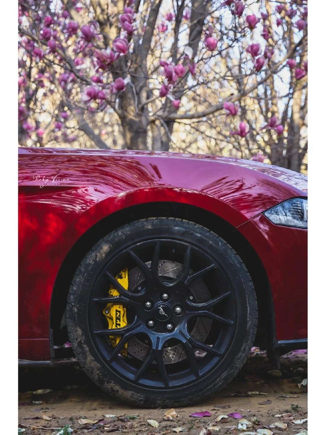 国产刹车怎么选!别在迷信进口刹车!