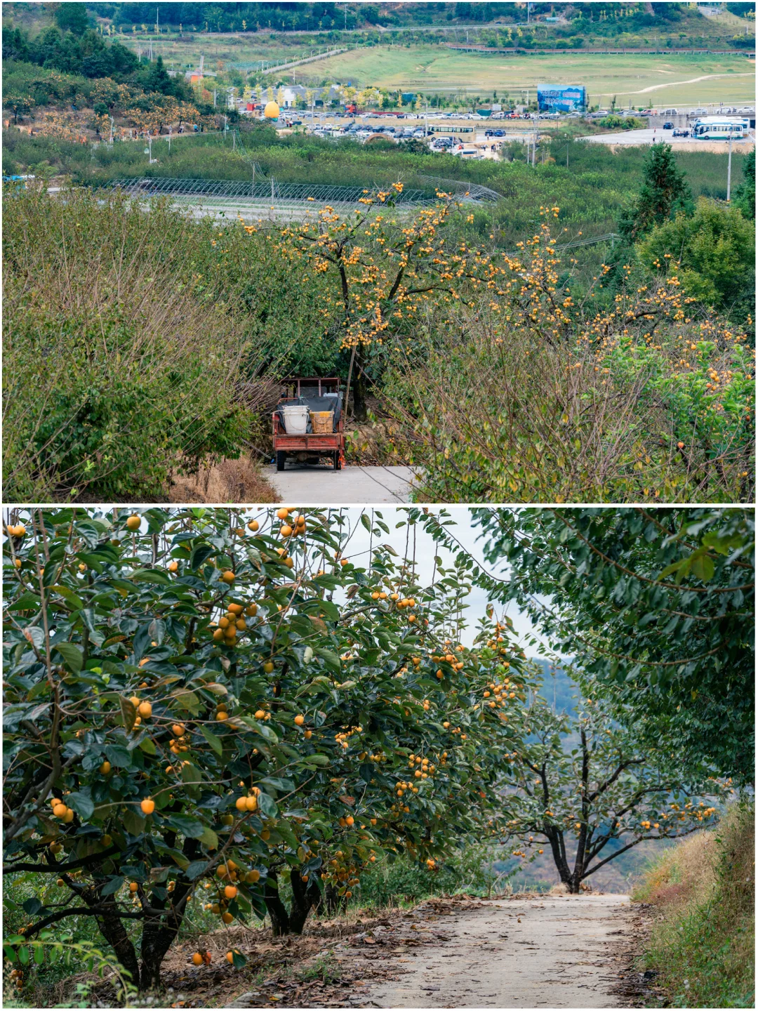 何峰山-王公山-利洋村的踏秋徒步