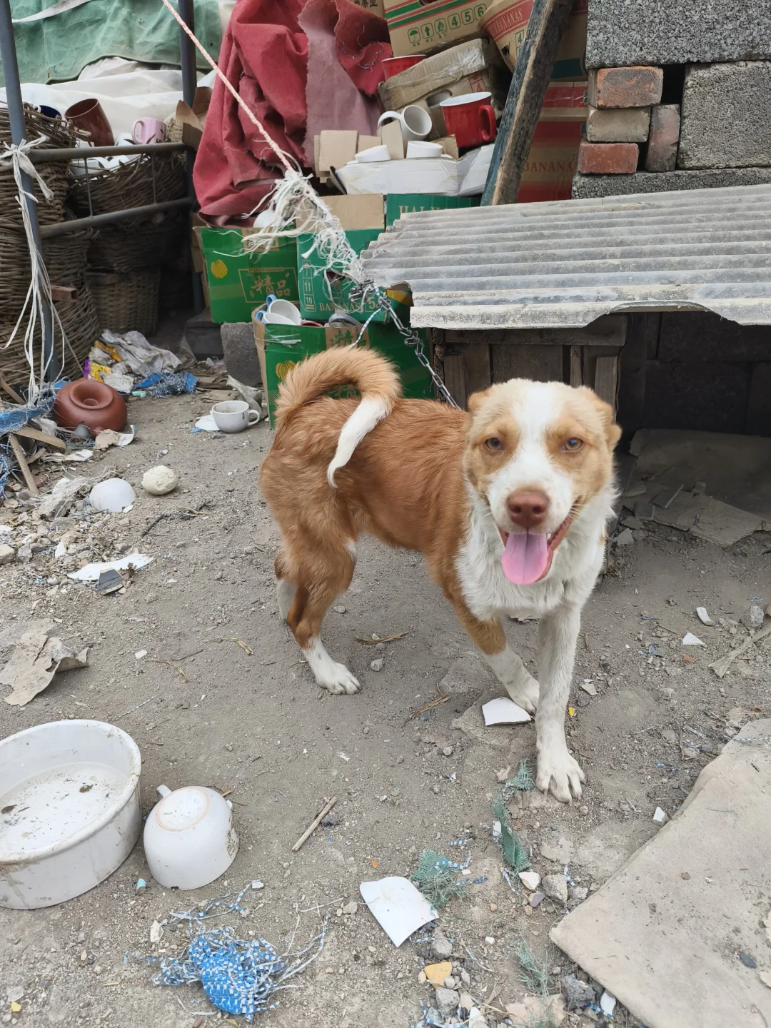 博山惊现陶瓷玻璃捡漏王!1元起抢疯