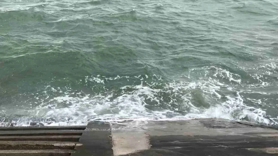 厦门特种兵!两天一夜一人游攻略