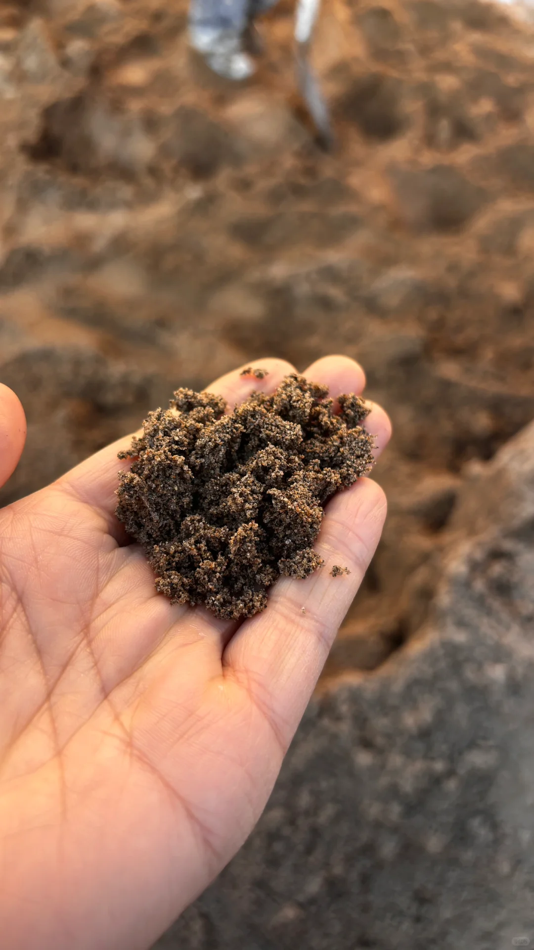 MU10砖+M10砂浆？农村砖混地基砌筑避坑清单