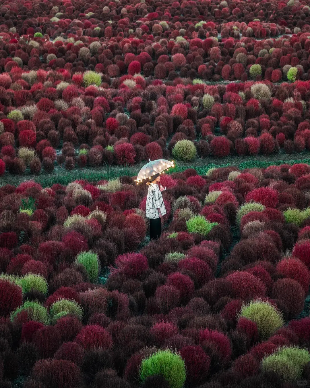 【摄影审美提升】YouKnowCYC作品解析