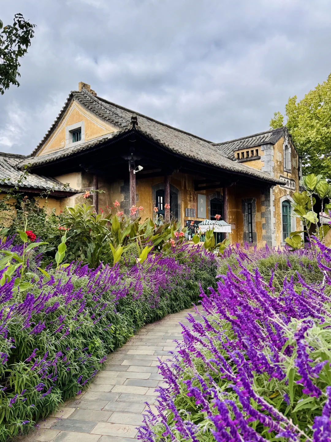 建水周边半日游,偷得浮生半日闲