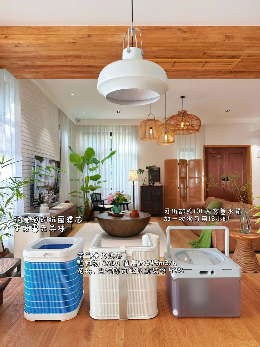 秋冬晨起喉咙干到疼?得先从空气入手