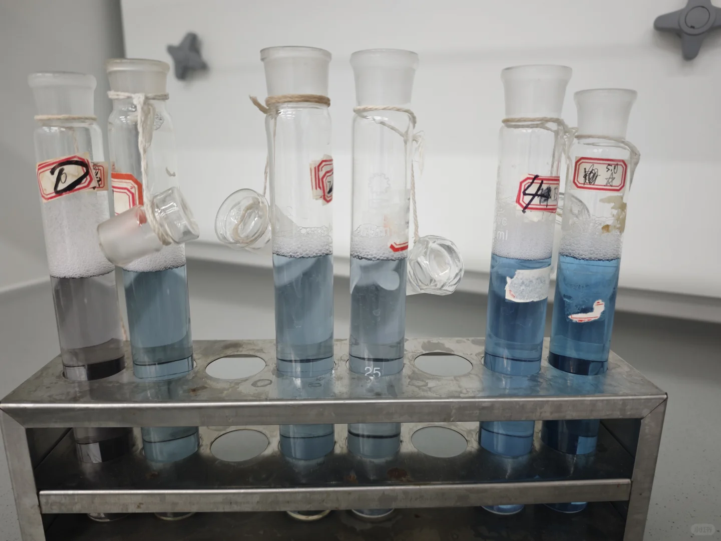 第一次从早忙淦晚，结果实验失败了