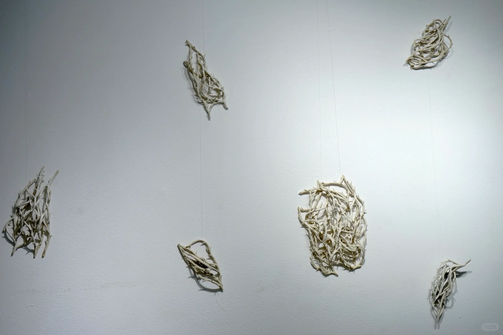 用陶瓷、玻璃做创作的2024年