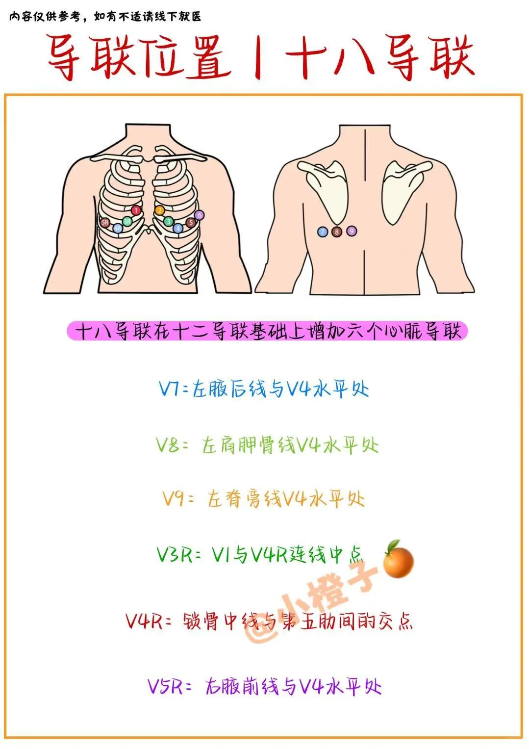 心电监护仪怎么看❓附导联位置✅