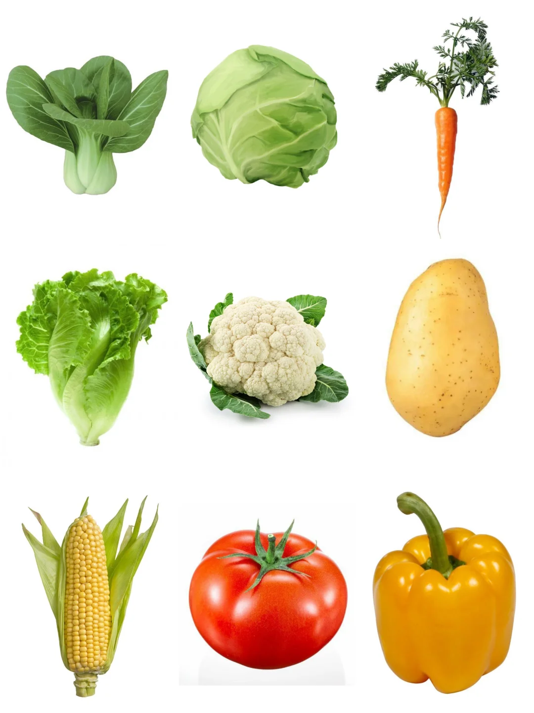 Day75 ·蔬菜?｜素材｜100天素材整理计划