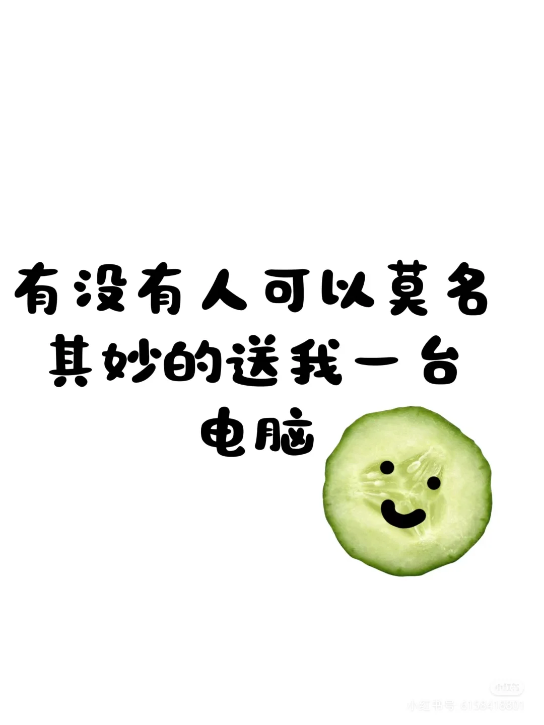 求少爷、大小姐宠爱赐个电脑