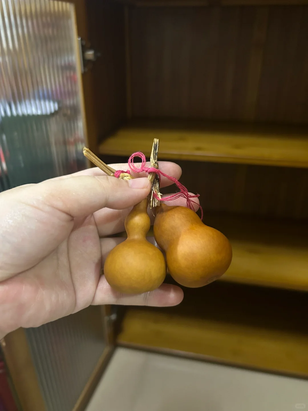 广东到底有多湿！！！