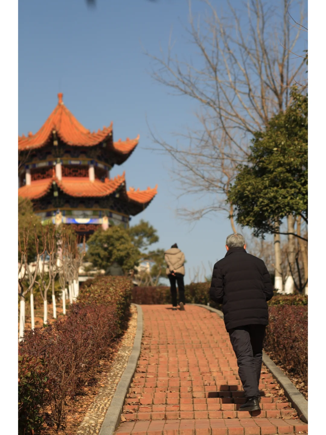 柯达EKTAR 100 3.5二代旁轴镜头,稀土玻璃