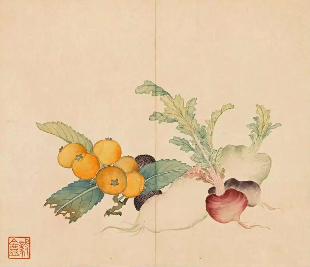 清｜汪承霈｜果蔬杂卉册