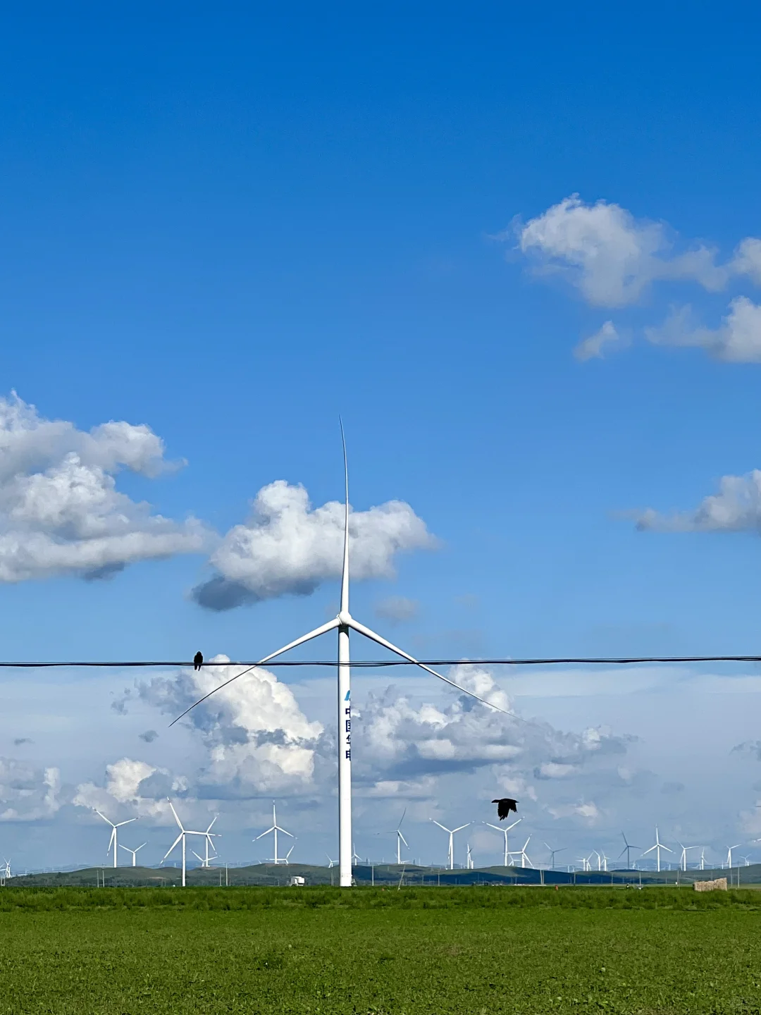 风车清楚每阵风的来意