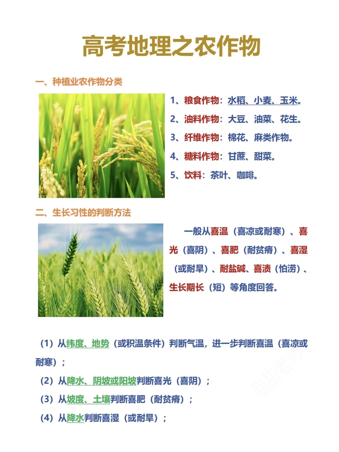高考地理之农作物！超详细超有用❗️❗️