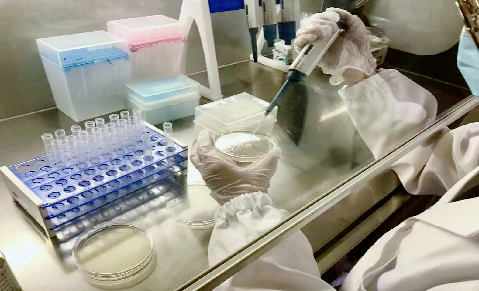 【为什么你家的墙面总发霉？答案在这里！