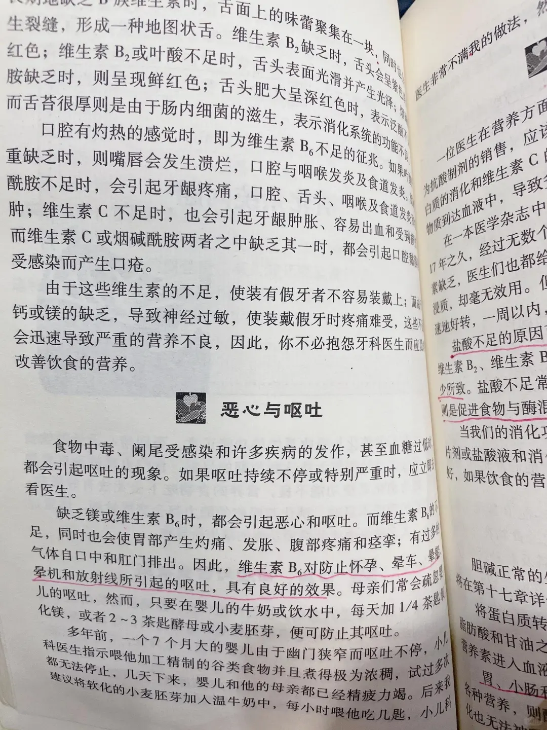 用好B族维生素,消化问题好大半,亲测有效