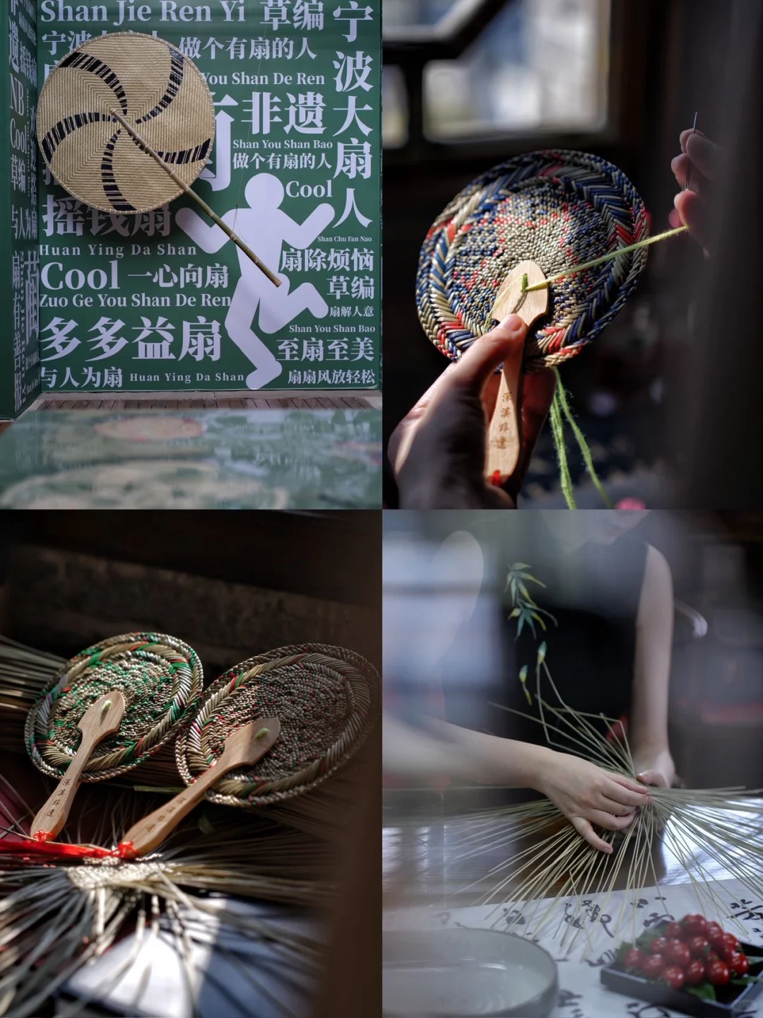 宁波新展｜芊编万化，一棵草的浪漫