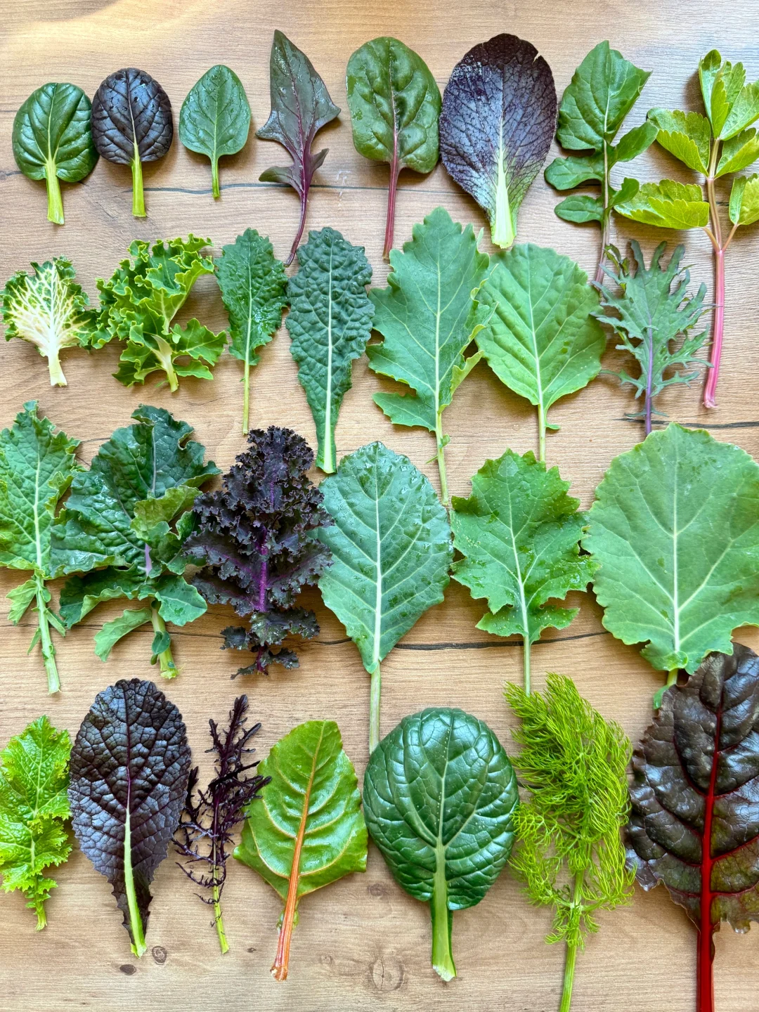 刷到什么学什么吧，教你认菜?