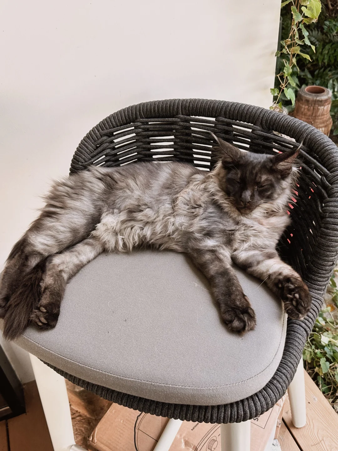 工作日常｜当选面料遇到神仙露台花园