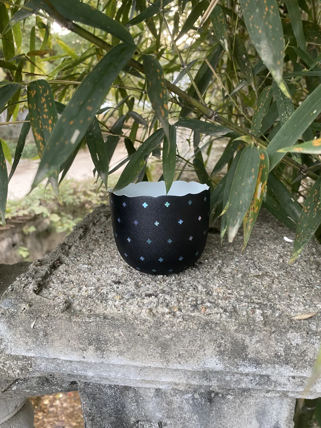 用科学严谨的态度“对付”你们