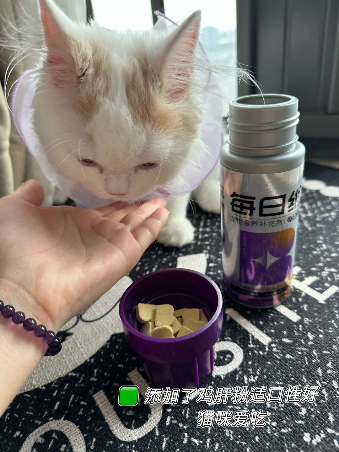 猫咪需要补充维生素b吗