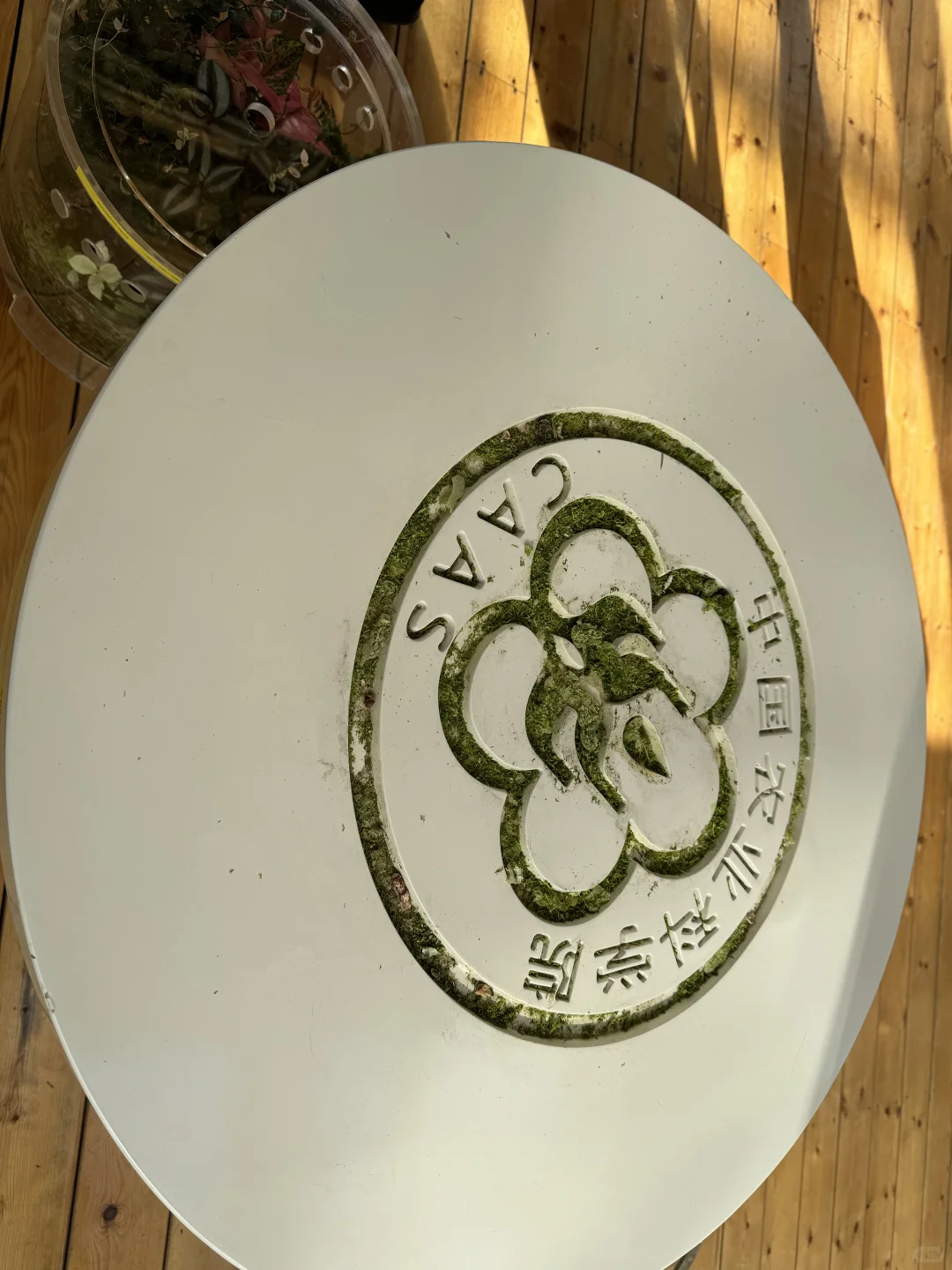 现在的农业还有可以创业的空间吗?