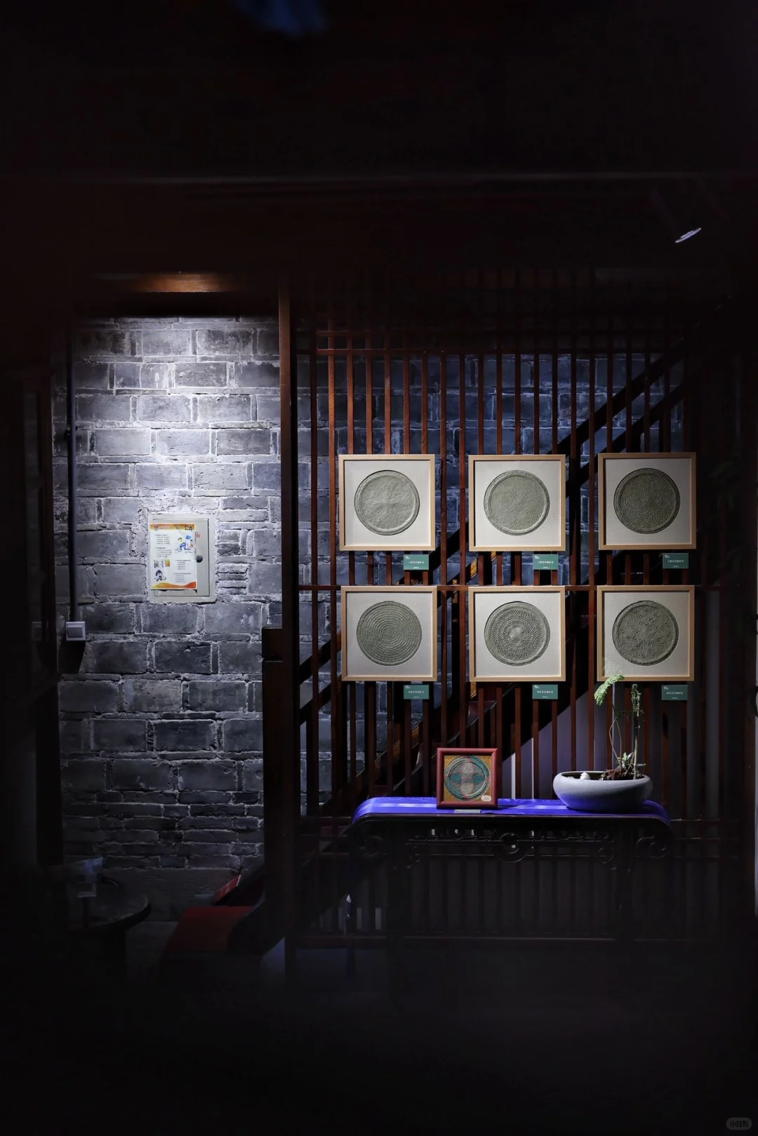 宁波新展｜芊编万化，一棵草的浪漫