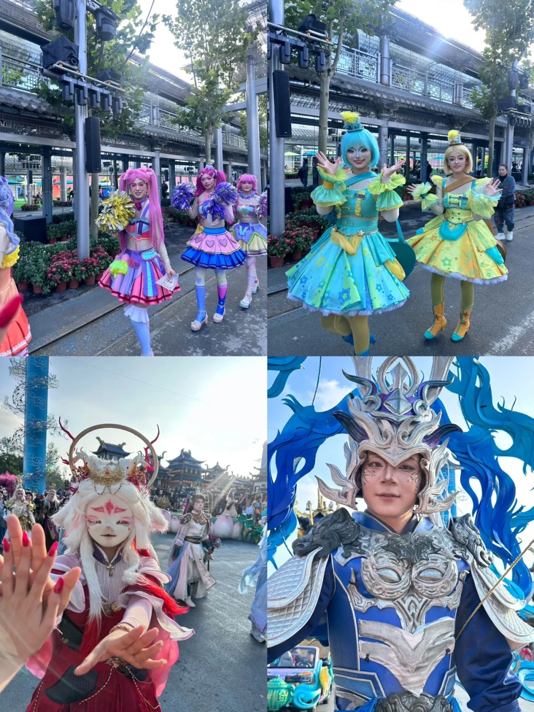 开封菊展｜白天黑夜拍照都封神?