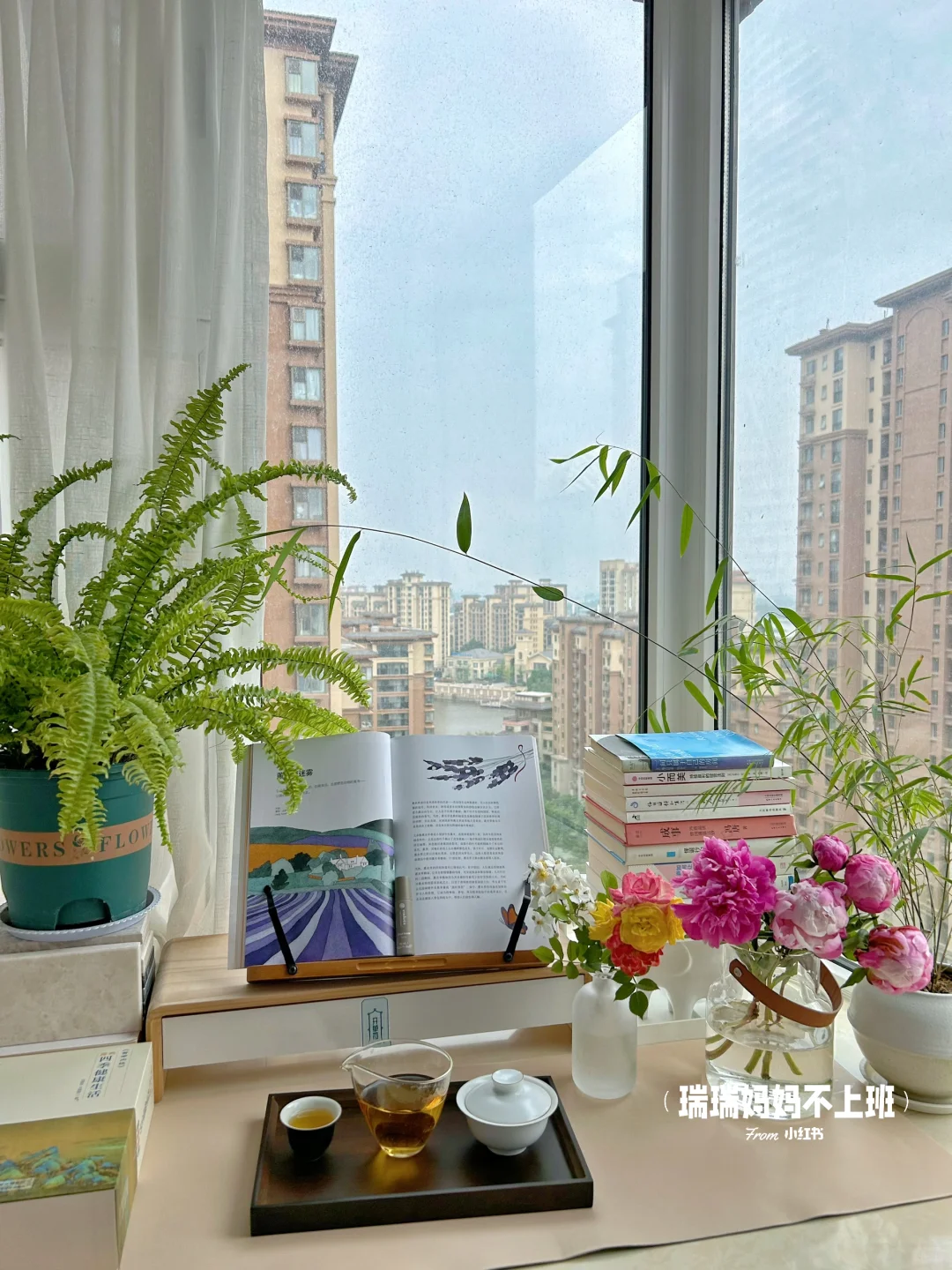 36岁,家是我的能量场,独处是灵魂的充电站✨