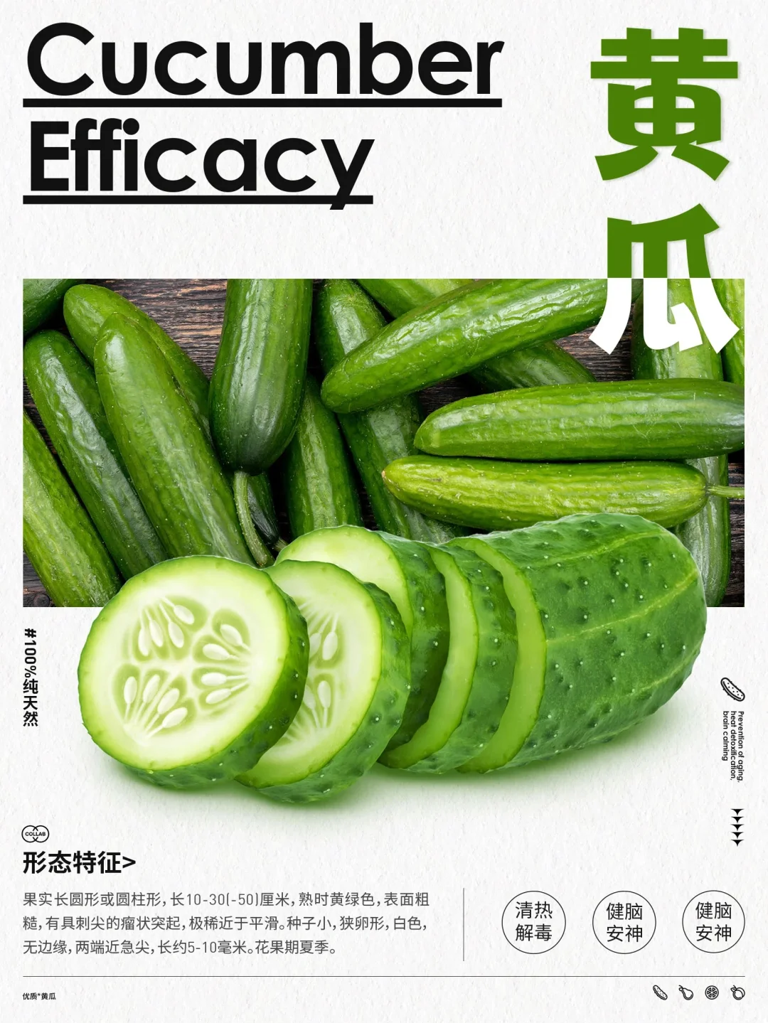 蔬菜海报设计审美